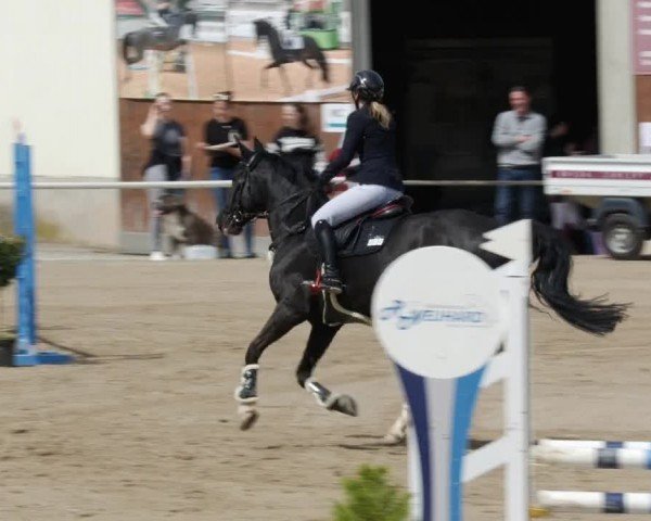 Reitturnier Großostheim/Ufr. 2024
