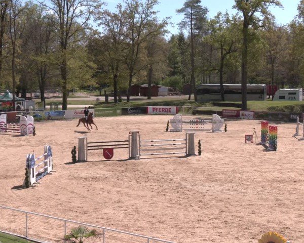 FEI Springturnier Stadl Paura 2024