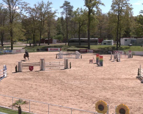 FEI Springturnier Stadl Paura 2024