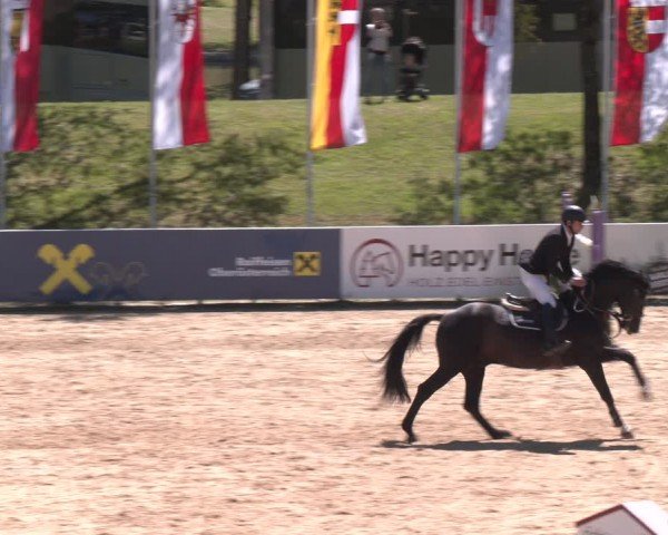 FEI Springturnier Stadl Paura 2024