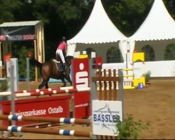 HORSE classics Killingen 2011