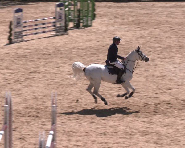 FEI Springturnier Stadl Paura 2024