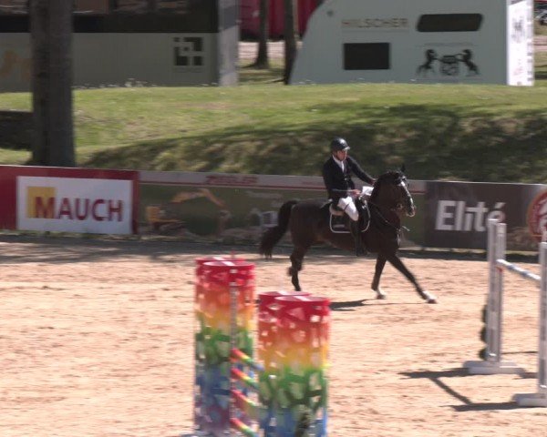 FEI Springturnier Stadl Paura 2024