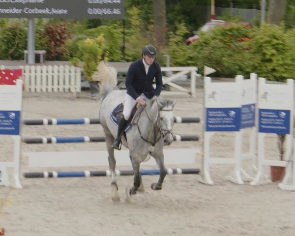 Reitturnier Monheim - Gut Blee 2024