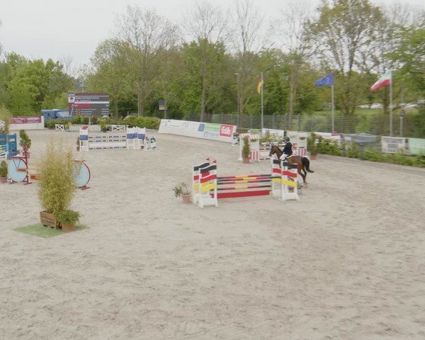 Reitturnier Monheim - Gut Blee 2024