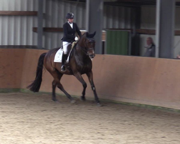 Reitturnier Schlieckau 2024