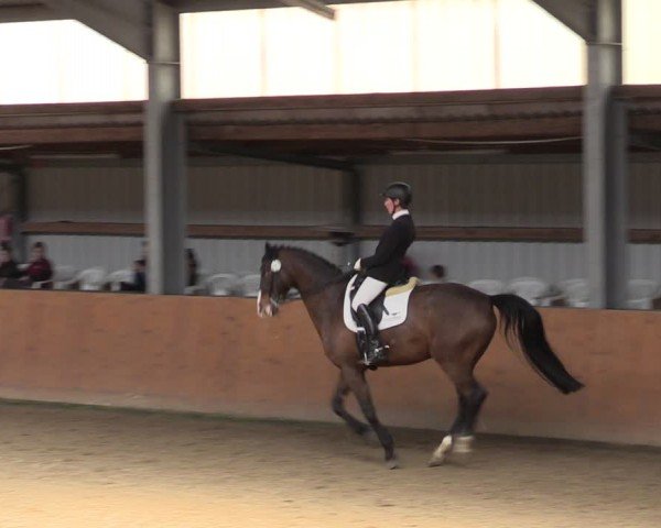 Reitturnier Schlieckau 2024