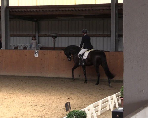 Reitturnier Schlieckau 2024
