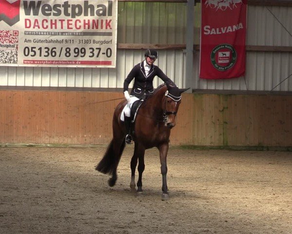 Reitturnier Schlieckau 2024