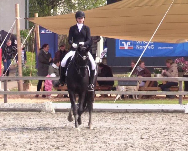 Reitturnier Ladelunder Turniertage 2024