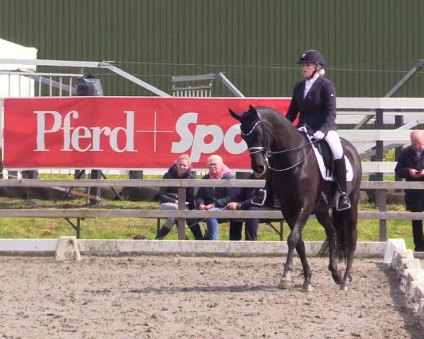 Reitturnier Ladelunder Turniertage 2024