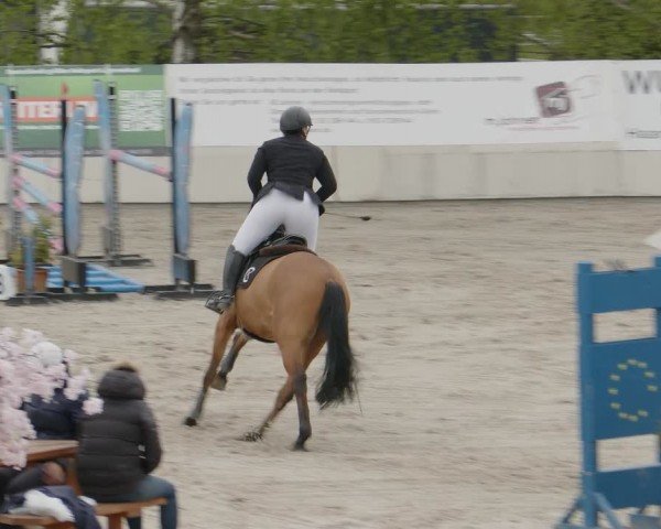 Reitturnier Monheim - Gut Blee 2024
