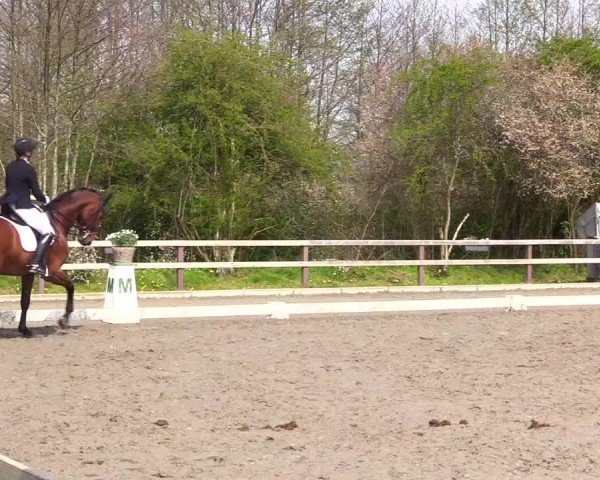 Reitturnier Ladelunder Turniertage 2024