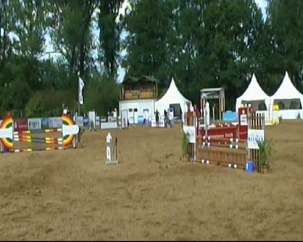 HORSE classics Killingen 2011