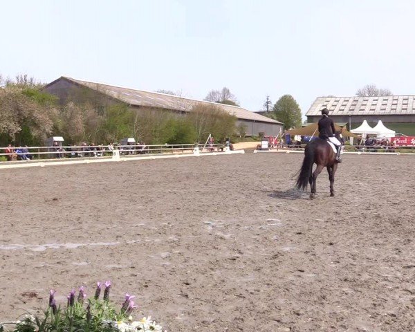 Reitturnier Ladelunder Turniertage 2024