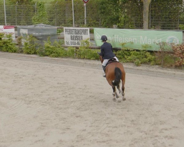 Reitturnier Monheim - Gut Blee 2024
