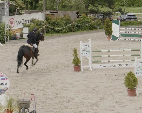 Reitturnier Monheim - Gut Blee 2024
