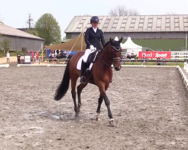 Reitturnier Ladelunder Turniertage 2024