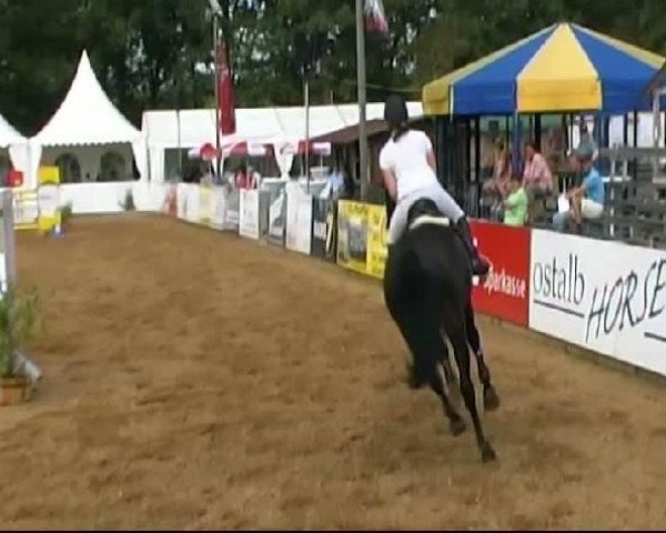 HORSE classics Killingen 2011