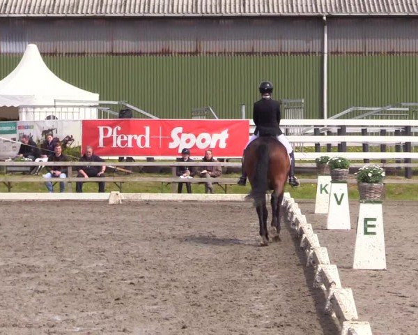 Reitturnier Ladelunder Turniertage 2024