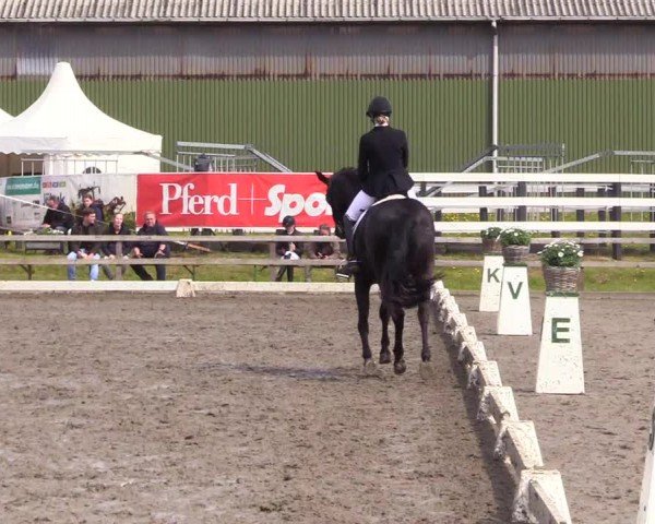Reitturnier Ladelunder Turniertage 2024