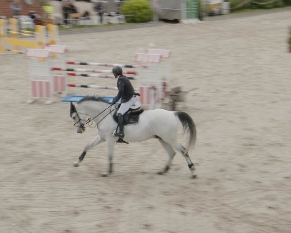 Reitturnier Monheim - Gut Blee 2024