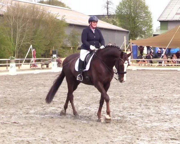 Reitturnier Ladelunder Turniertage 2024