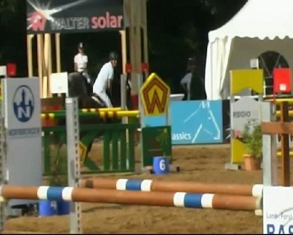 HORSE classics Killingen 2011