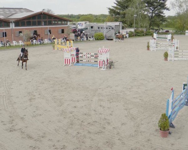 Reitturnier Monheim - Gut Blee 2024