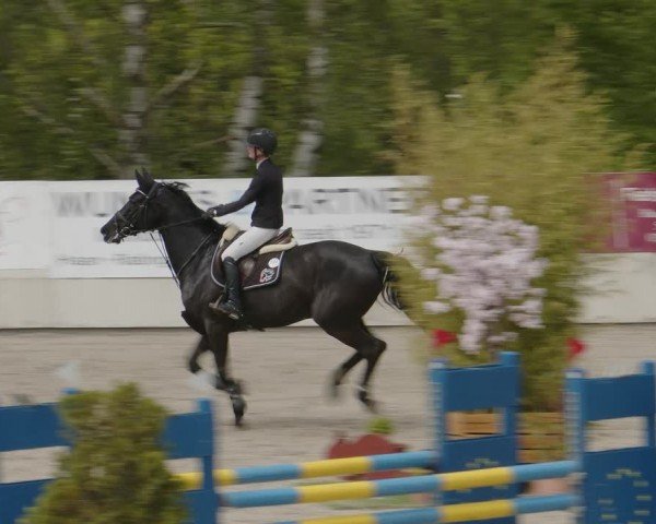 Reitturnier Monheim - Gut Blee 2024