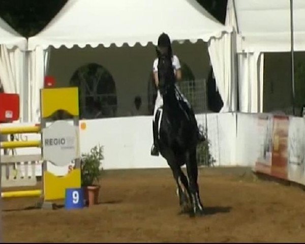 HORSE classics Killingen 2011