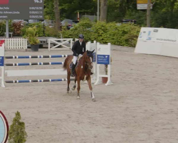 Reitturnier Monheim - Gut Blee 2024