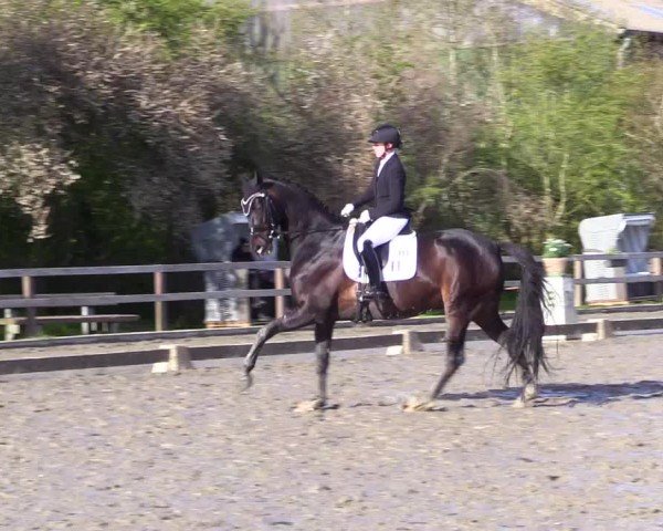 Reitturnier Ladelunder Turniertage 2024