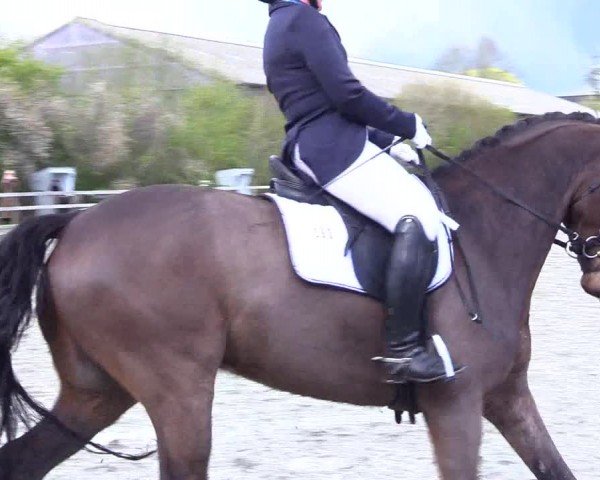 Reitturnier Ladelunder Turniertage 2024