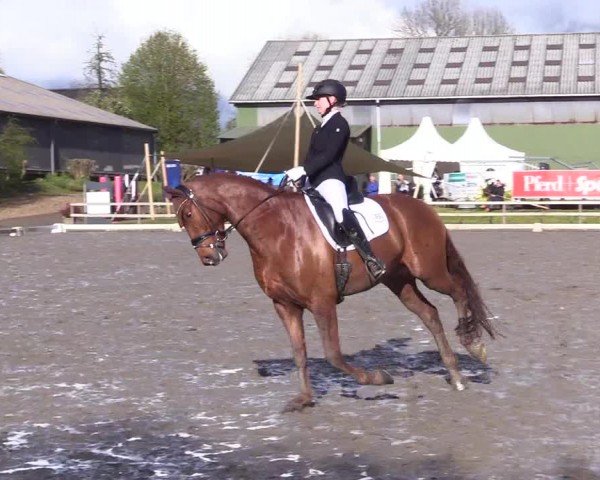 Reitturnier Ladelunder Turniertage 2024