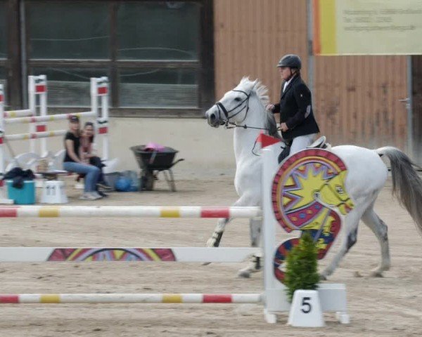 Reitturnier Großostheim/Ufr. 2024