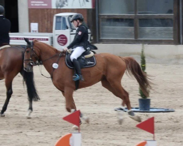 Reitturnier Großostheim/Ufr. 2024