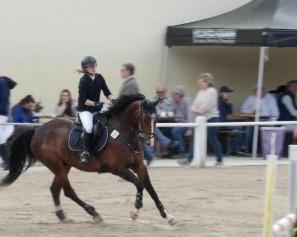 Reitturnier Großostheim/Ufr. 2024
