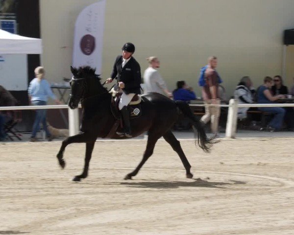 Reitturnier Großostheim/Ufr. 2024