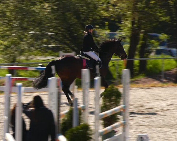 Reitturnier Bad Liebenstein/Sorga 2024