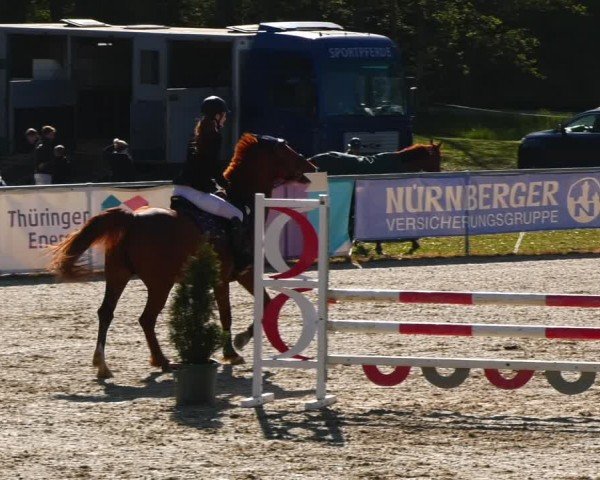 Reitturnier Bad Liebenstein/Sorga 2024