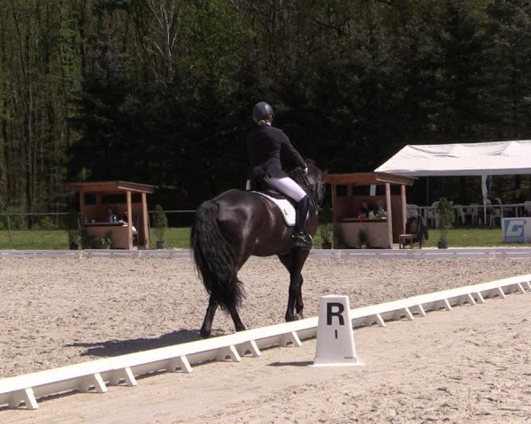 Reitturnier Pietzpuhl 2024