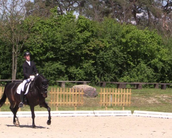 Reitturnier Pietzpuhl 2024