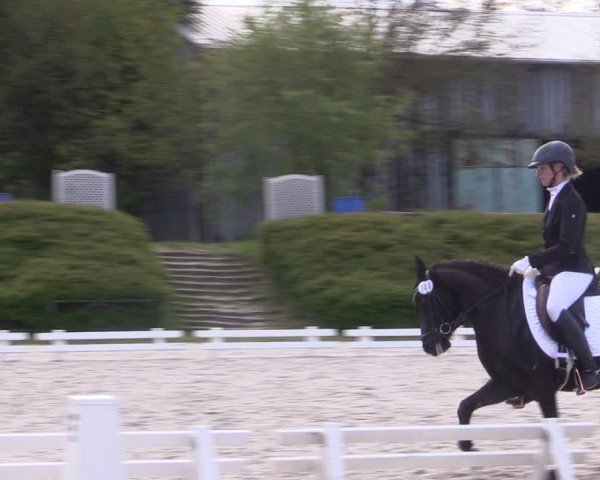Reitturnier Pietzpuhl 2024