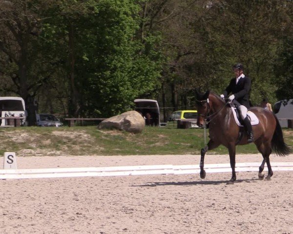 Reitturnier Pietzpuhl 2024