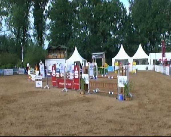 HORSE classics Killingen 2011