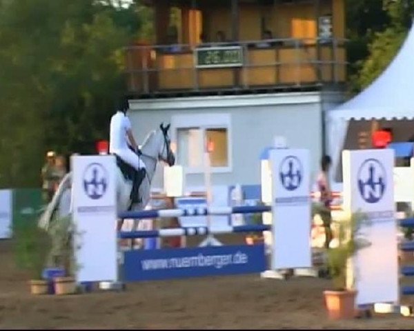HORSE classics Killingen 2011