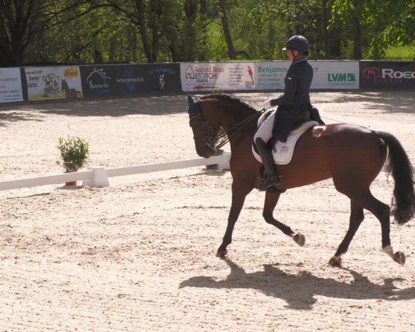 Reitturnier Karlsfeld/Obb. 2024