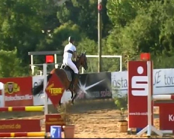 HORSE classics Killingen 2011