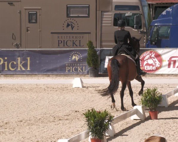 Reitturnier Karlsfeld/Obb. 2024